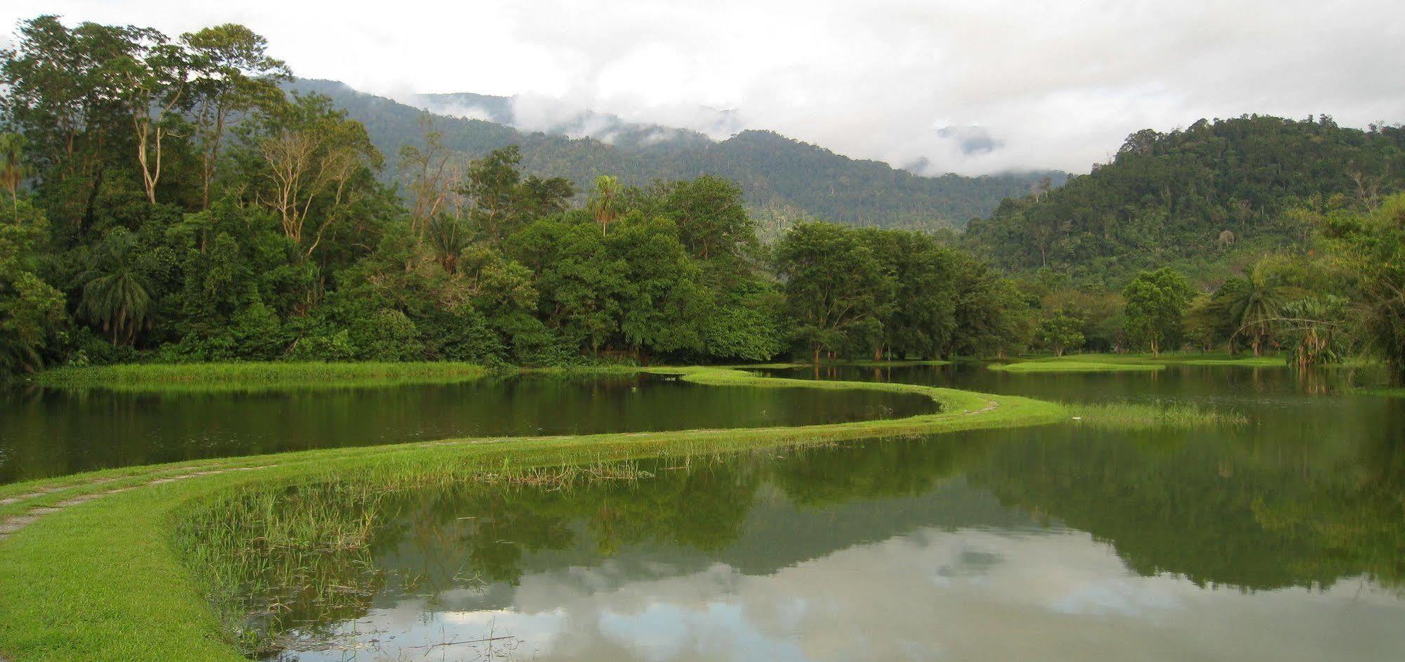 Zen Panorama Taiping